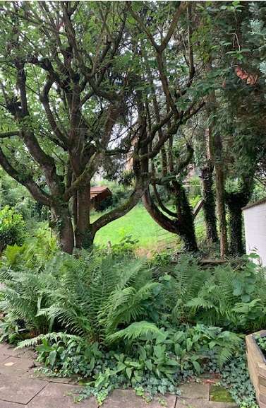 Thumbnail-Haus zum Kaufen in Heilbronn 985.000,00 € 328 m²