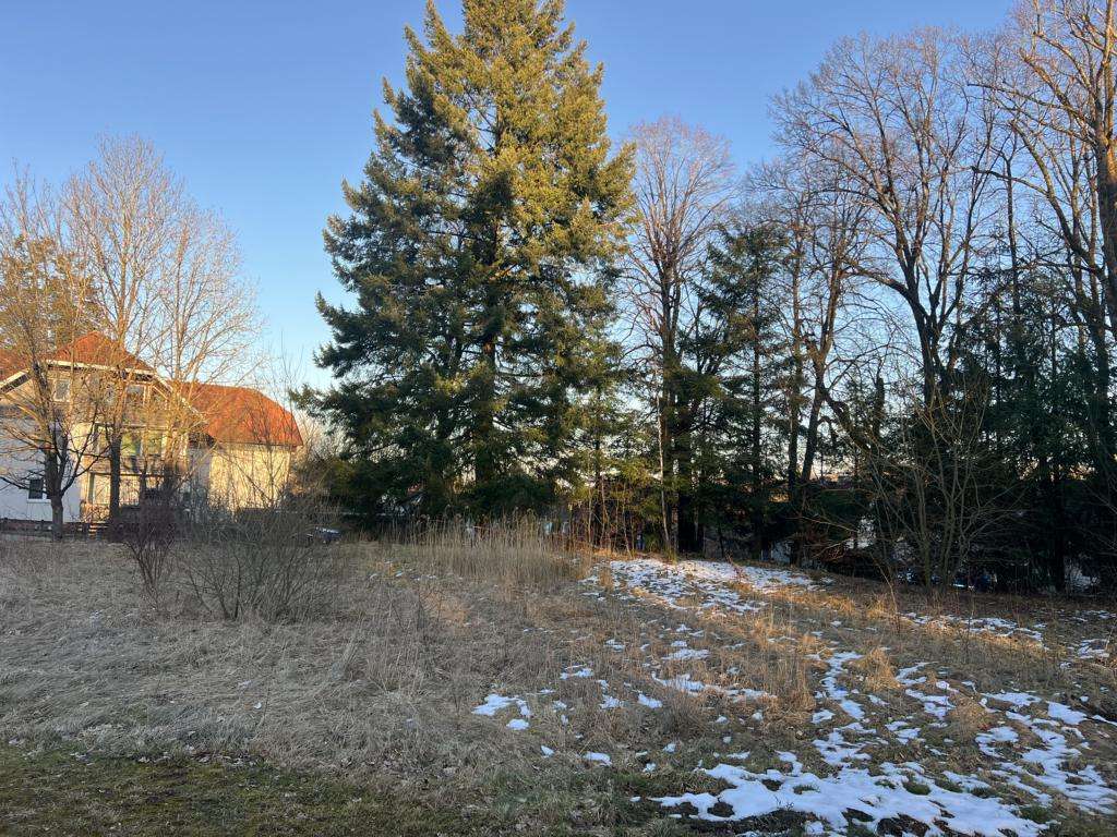 Thumbnail-Grundstück zu verkaufen in Braunlage 111.000,00 € 1837 m²