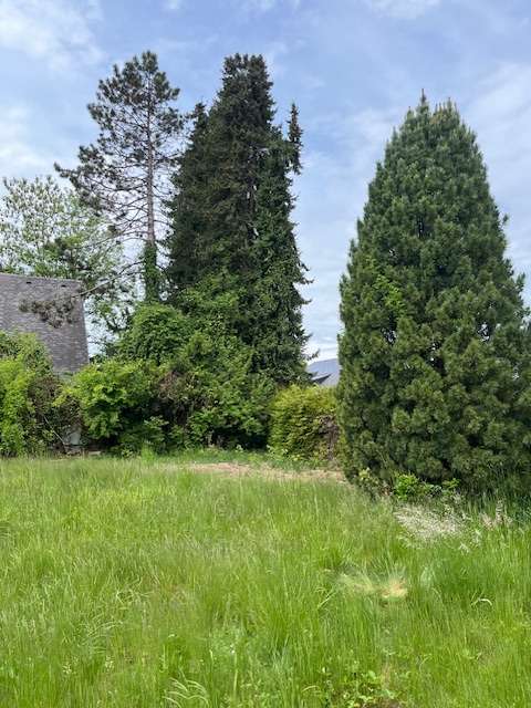 Thumbnail-Grundstück zu verkaufen in Grünwald 2.600.000,00 € 930 m²