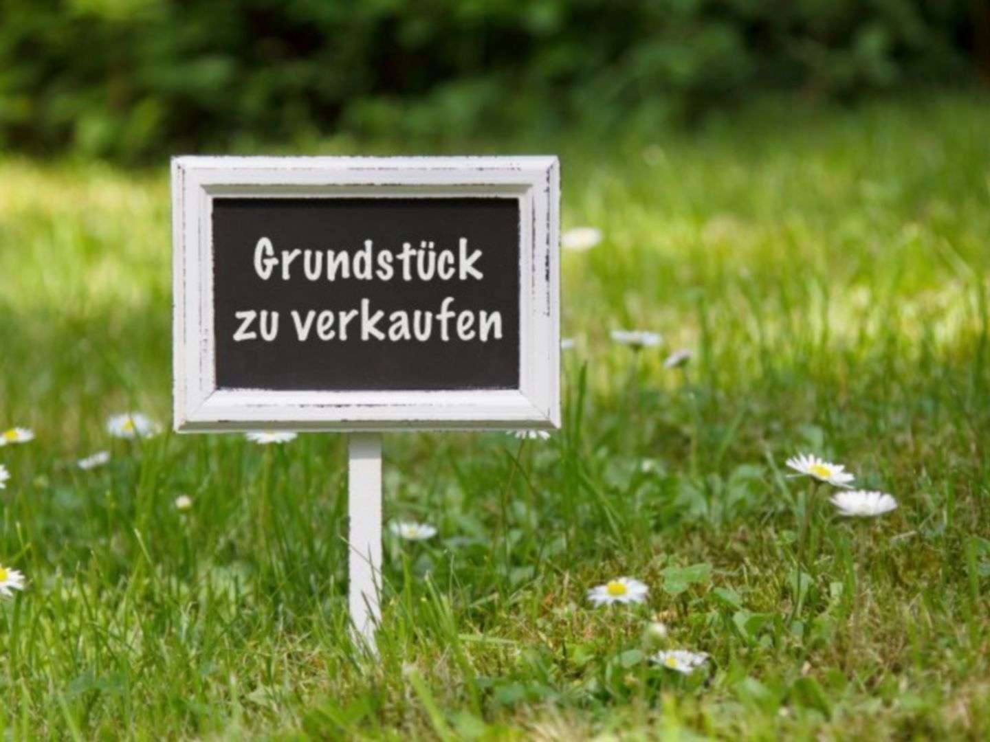 Thumbnail-Grundstück zu verkaufen in Grünheide 299.000,00 € 433 m²