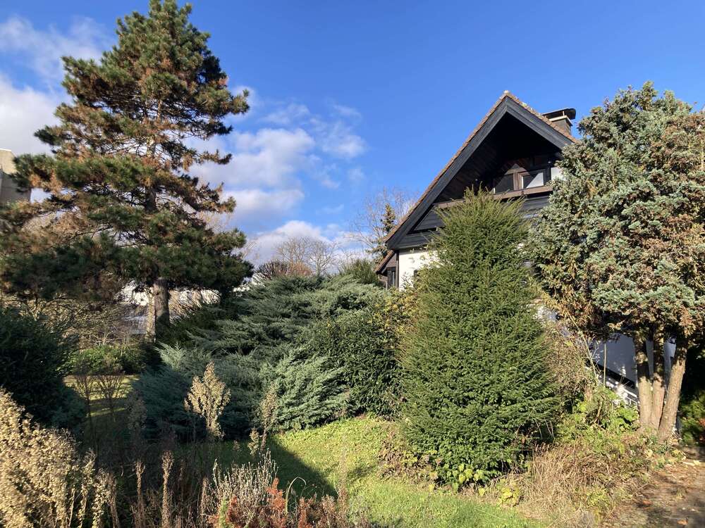 Thumbnail-Haus zum Kaufen in Frankfurt am Main, Nieder-Eschbach 1.590.000,00 € 368 m²