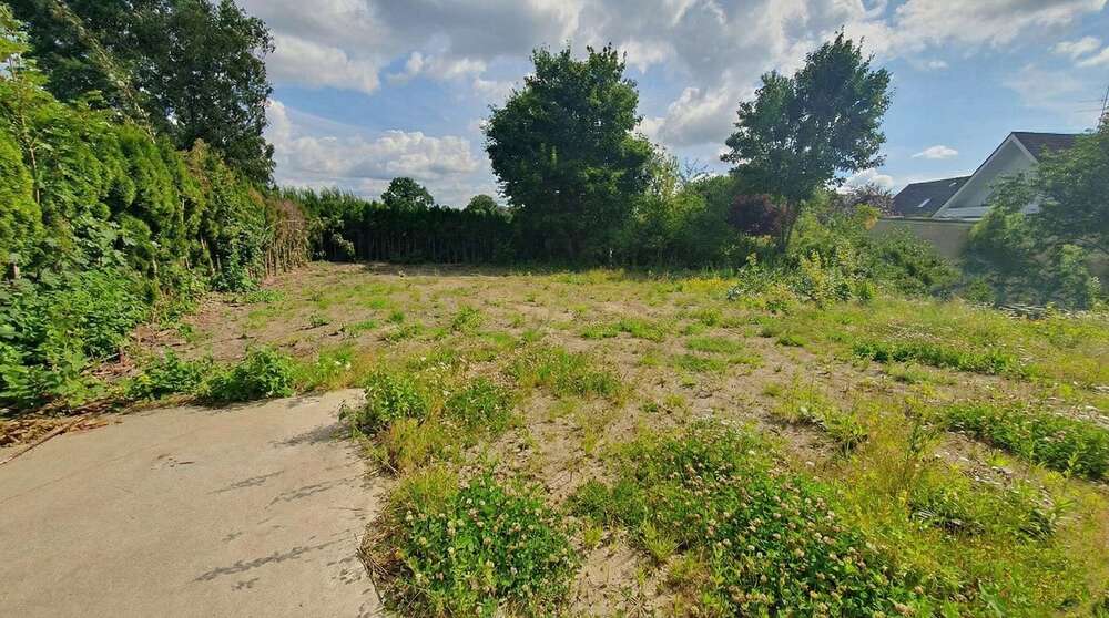 Thumbnail-Grundstück zu verkaufen in Sülfeld 188.500,00 € 815 m²