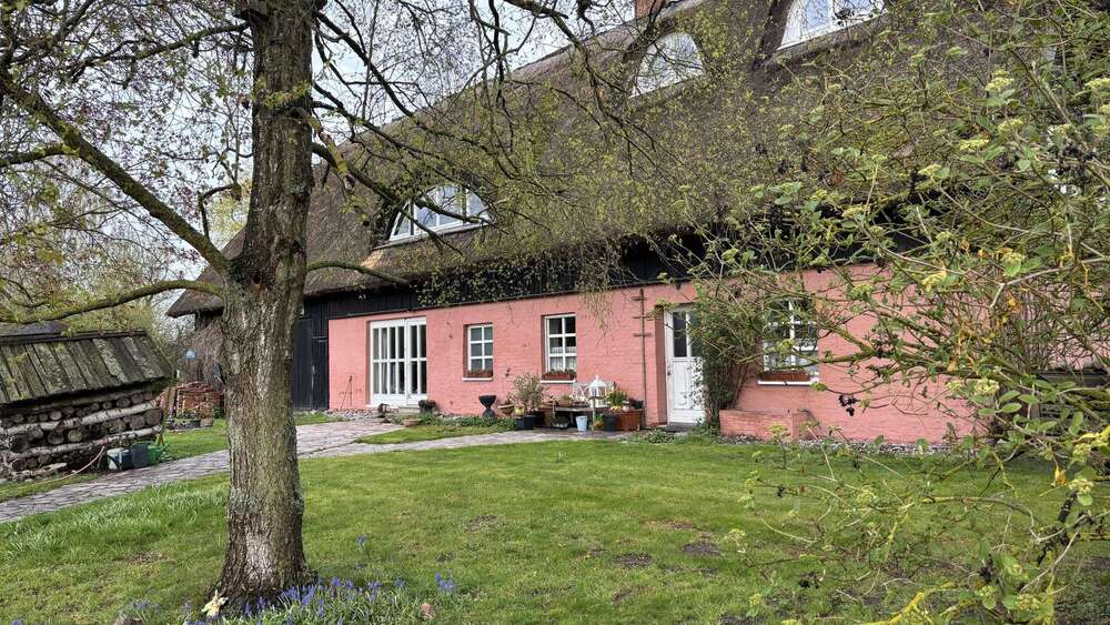 Thumbnail-Haus zum Kaufen in Penzlin 560.000,00 € 500 m²