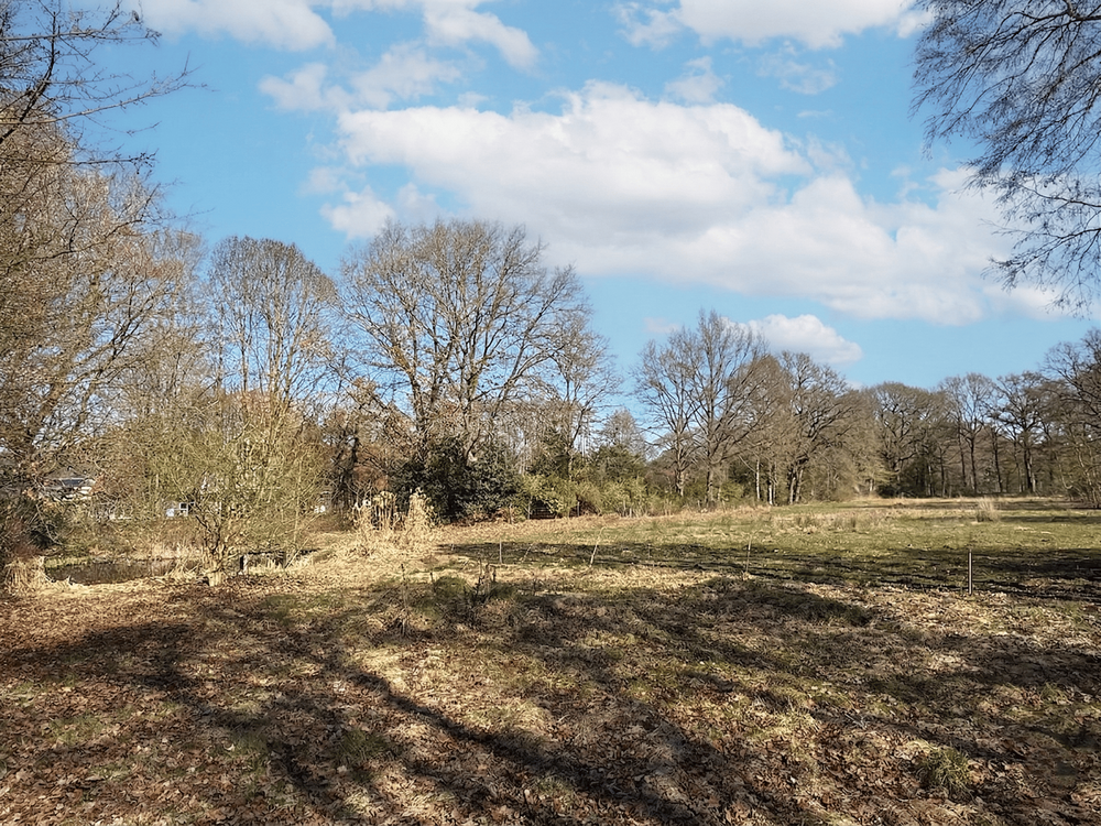 Thumbnail-Grundstück zu verkaufen in Mechtersen 249.000,00 € 1395 m²