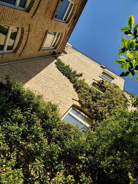 Thumbnail-Wohnung zum Mieten in Halle 579,00 € 60 m²