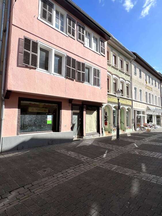 Thumbnail-Haus zum Kaufen in Alzey 197.000,00 € 225 m²