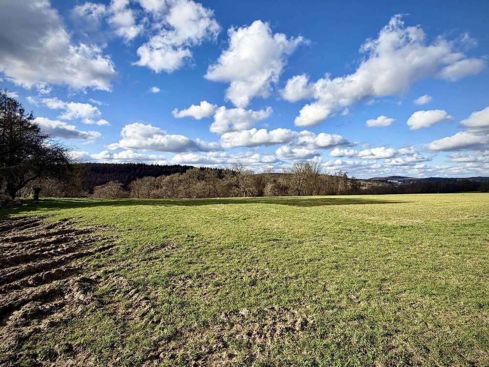 Thumbnail-Grundstück zu verkaufen in Blieskastel 195.000,00 € 1427 m²