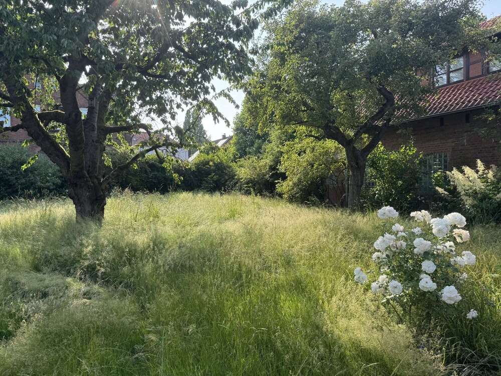 Thumbnail-Grundstück zu verkaufen in Hannover 249.500,00 € 480 m²