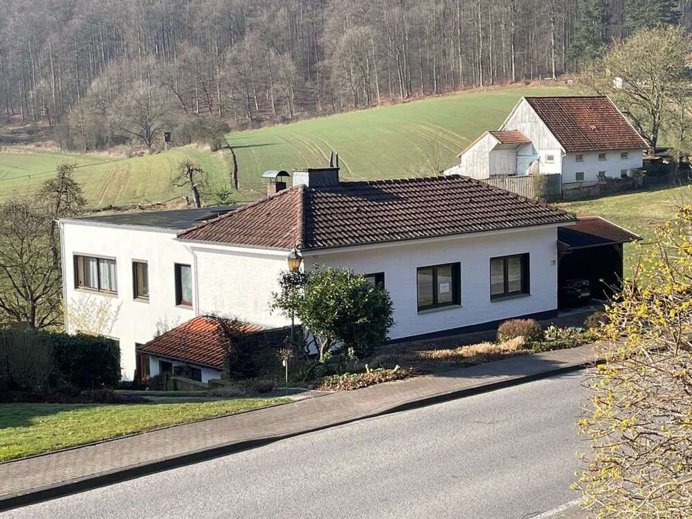 Thumbnail-Haus zum Kaufen in Schieder-Schwalenberg 425.000,00 € 250 m²