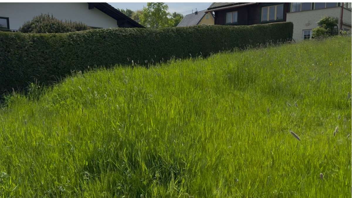 Thumbnail-Grundstück zu verkaufen in Vettelschoß 476.000,00 € 2000 m²