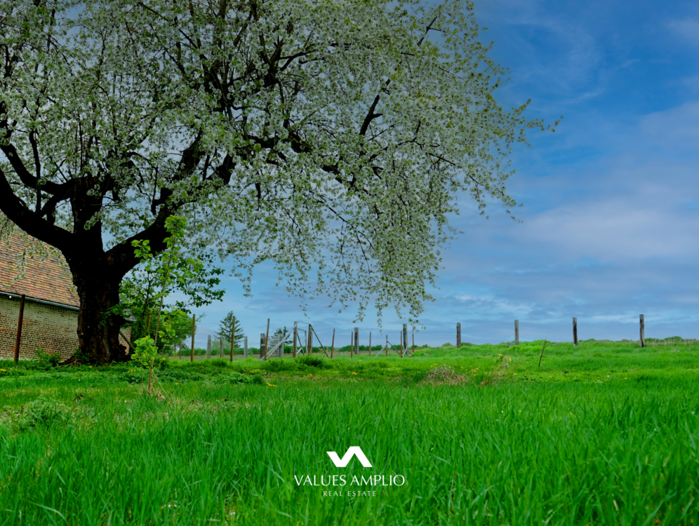 Thumbnail-Grundstück zu verkaufen in Stößen 65.000,00 € 1409 m²