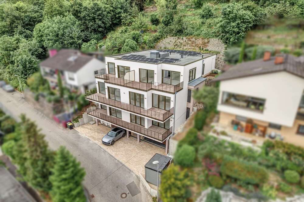 Thumbnail-Haus zum Kaufen in Niefern-Öschelbronn Niefern 2.680.000,00 € 520 m²