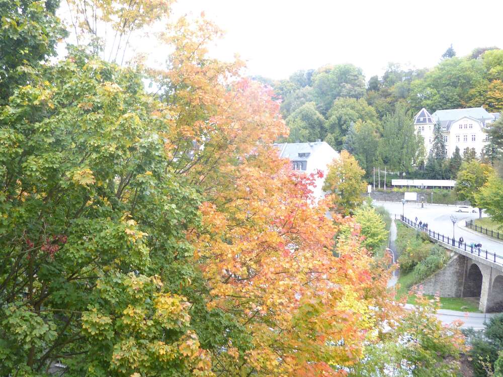 Thumbnail-Wohnung zum Mieten in Annaberg-Buchholz 410,00 € 74 m²