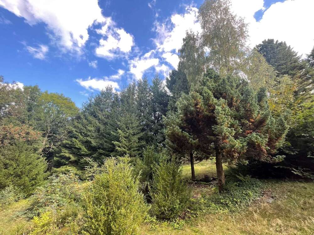 Thumbnail-Grundstück zu verkaufen in Zschopau 25.000,00 € 2560 m²