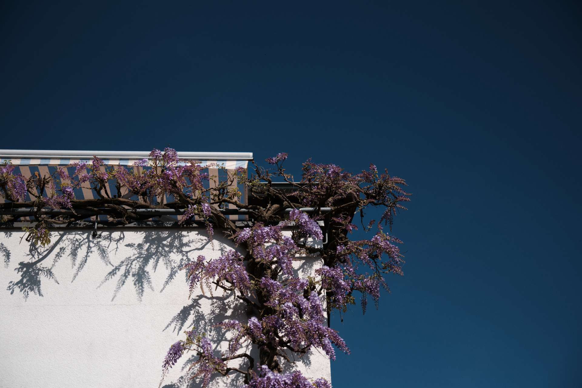 Thumbnail-Haus zum Kaufen in Wiesloch 525.000,00 € 168 m²