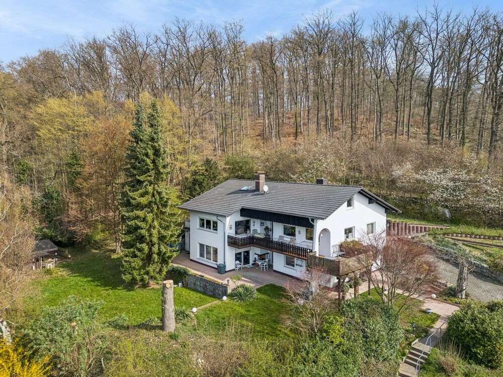 Thumbnail-Haus zum Kaufen in Heppenheim 987.000,00 € 300 m²