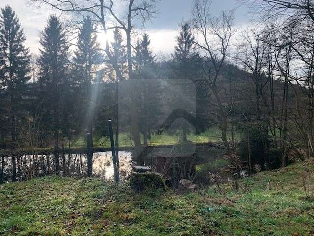 Thumbnail-Grundstück zu verkaufen in Halver 189.900,00 € 2257 m²