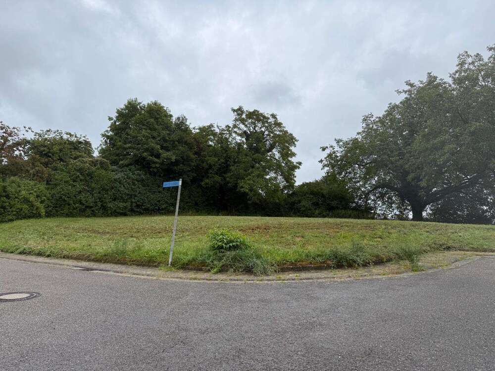 Thumbnail-Grundstück zu verkaufen in Sinsheim-Steinsfurt 600.000,00 € 961 m²