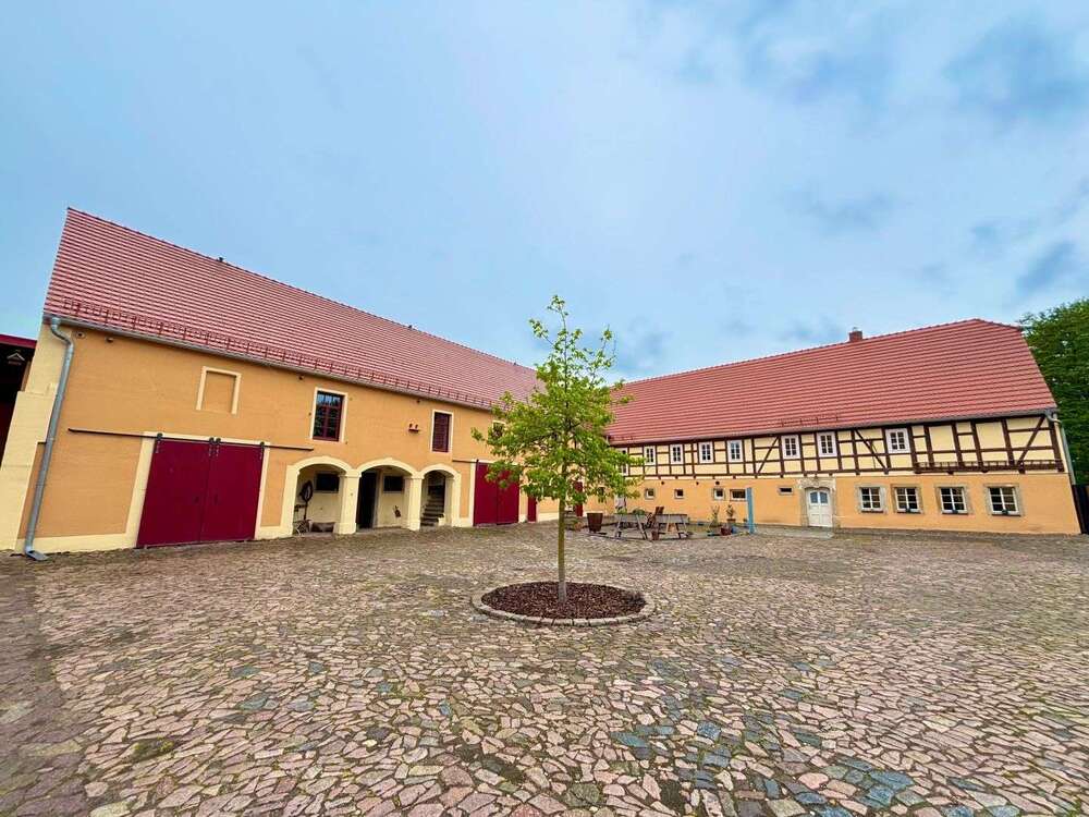 Thumbnail-Haus zum Kaufen in Riesa 1.450.000,00 € 370 m²