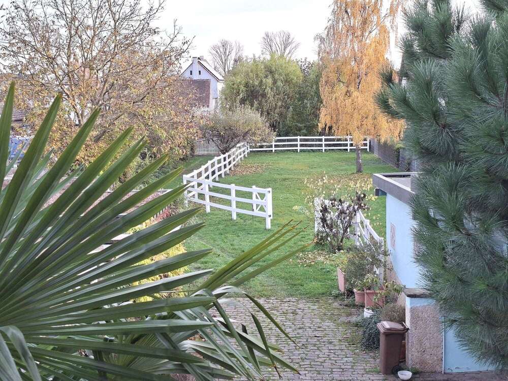 Thumbnail-Haus zum Kaufen in Lustadt 495.000,00 € 196.14 m²