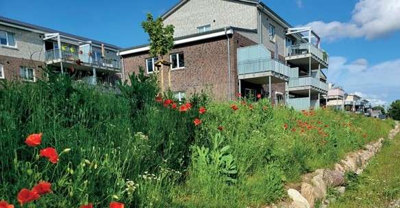 Thumbnail-Wohnung zum Mieten in Lütjenburg 527,47 € 53 m²