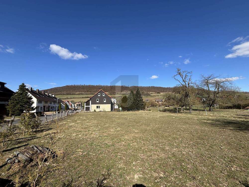 Thumbnail-Grundstück zu verkaufen in Dassel 46.000,00 € 2420 m²