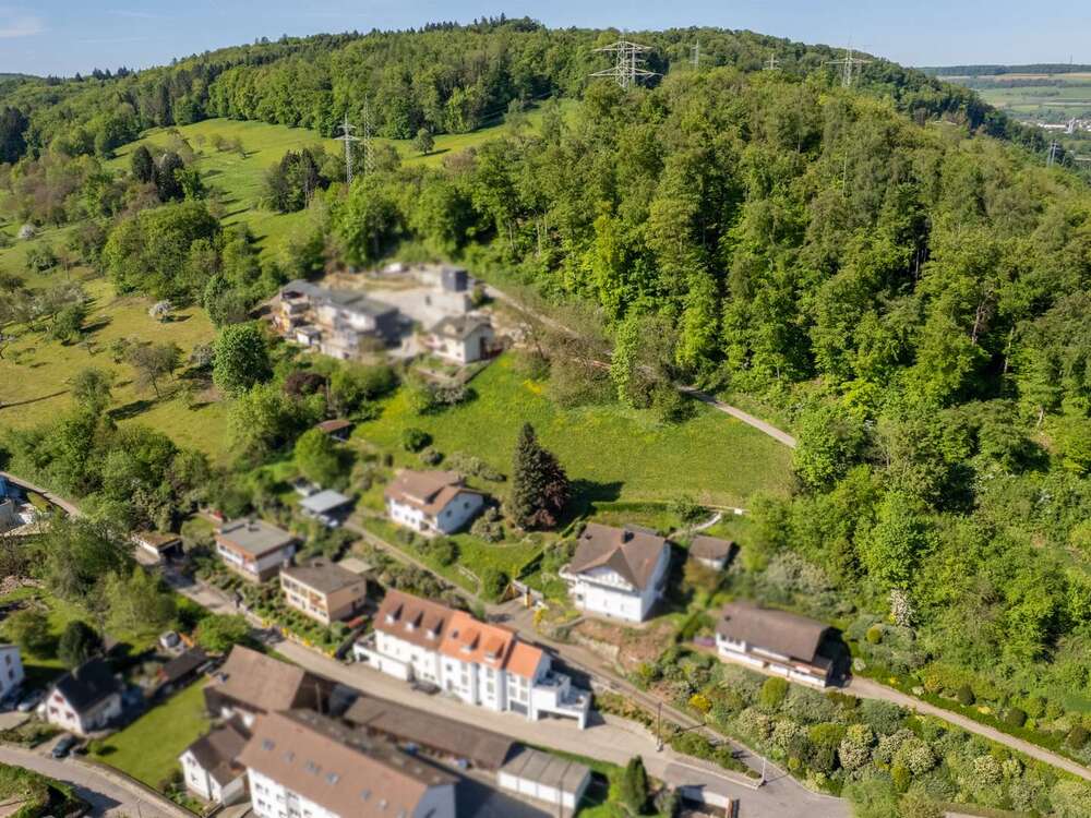 Thumbnail-Grundstück zu verkaufen in Lörrach 850.000,00 € 3741 m²