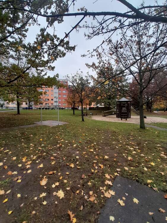 Thumbnail-Wohnung zum Mieten in Dresden 464,00 € 61.72 m²