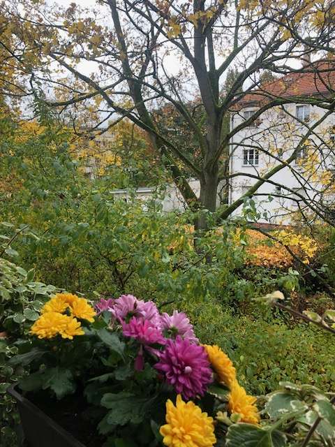 Thumbnail-Wohnung zum Kaufen in Berlin 158.000,00 € 45.6 m²