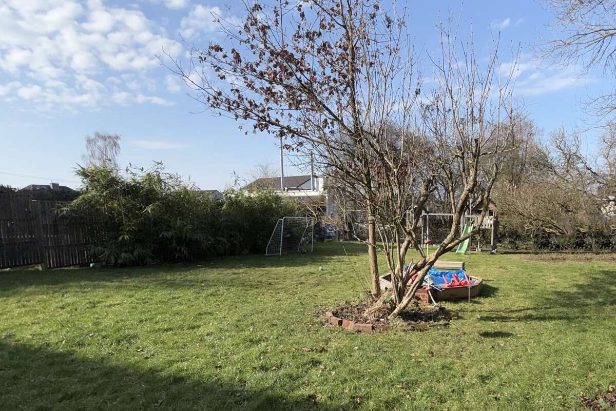 Thumbnail-Grundstück zu verkaufen in Solingen 198.000,00 € 465 m²