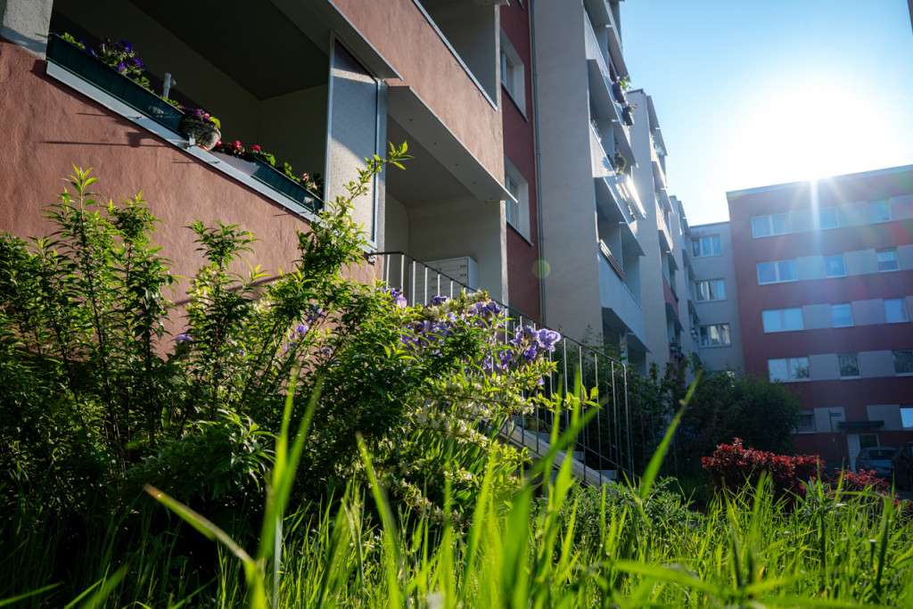 Thumbnail-Wohnung zum Mieten in Halle (Saale) 360,00 € 57.31 m²