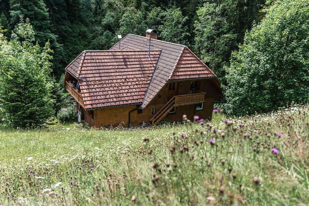 Thumbnail-Haus zum Kaufen in Breitnau 775.000,00 € 311 m²