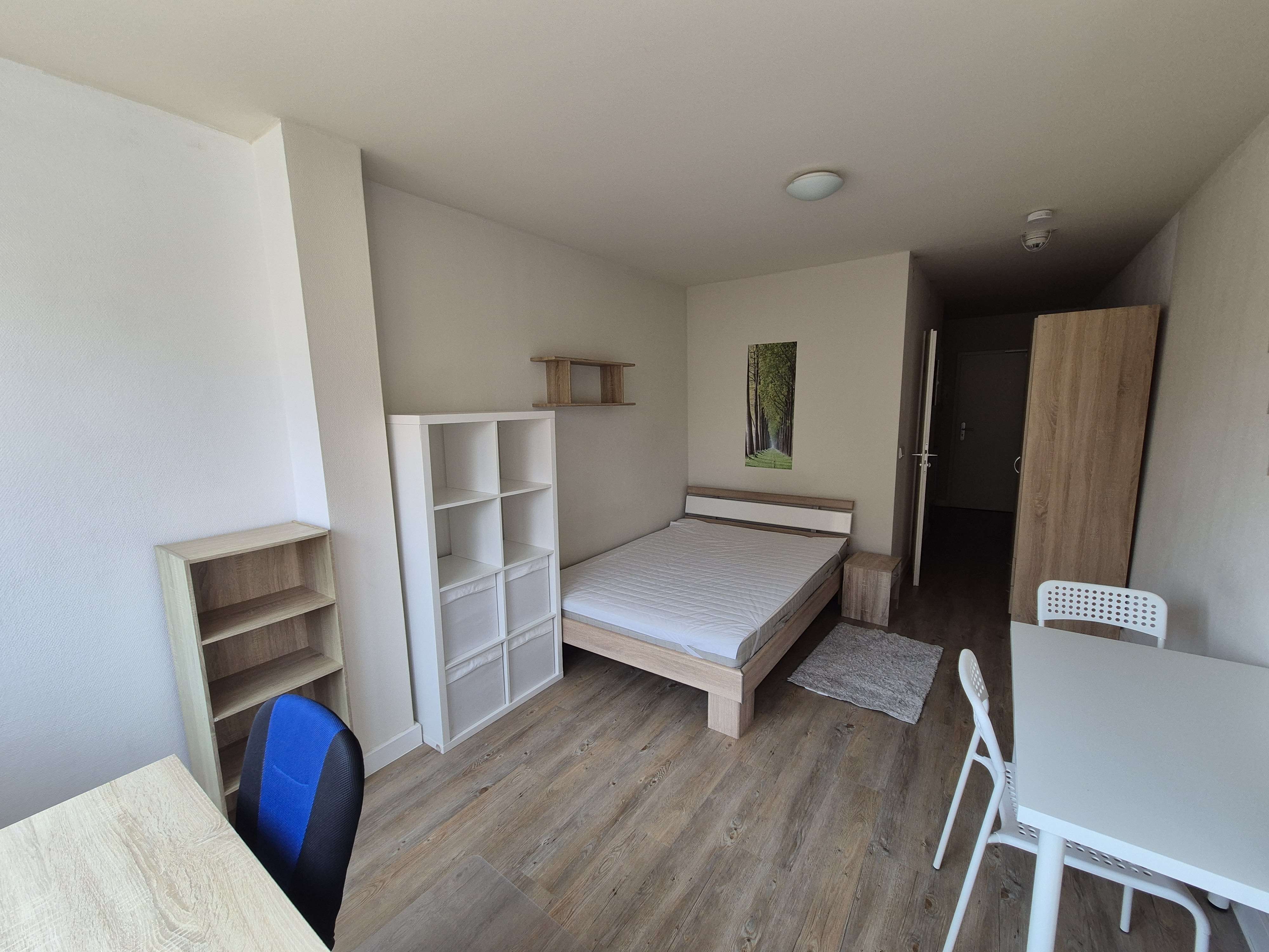 Thumbnail-Wohnung zum Mieten in Dresden 445,00 € 24.2 m²