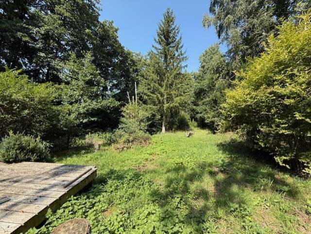 Thumbnail-Grundstück zu verkaufen in Wehrheim - Friedrichsthal 68.000,00 € 2042 m²