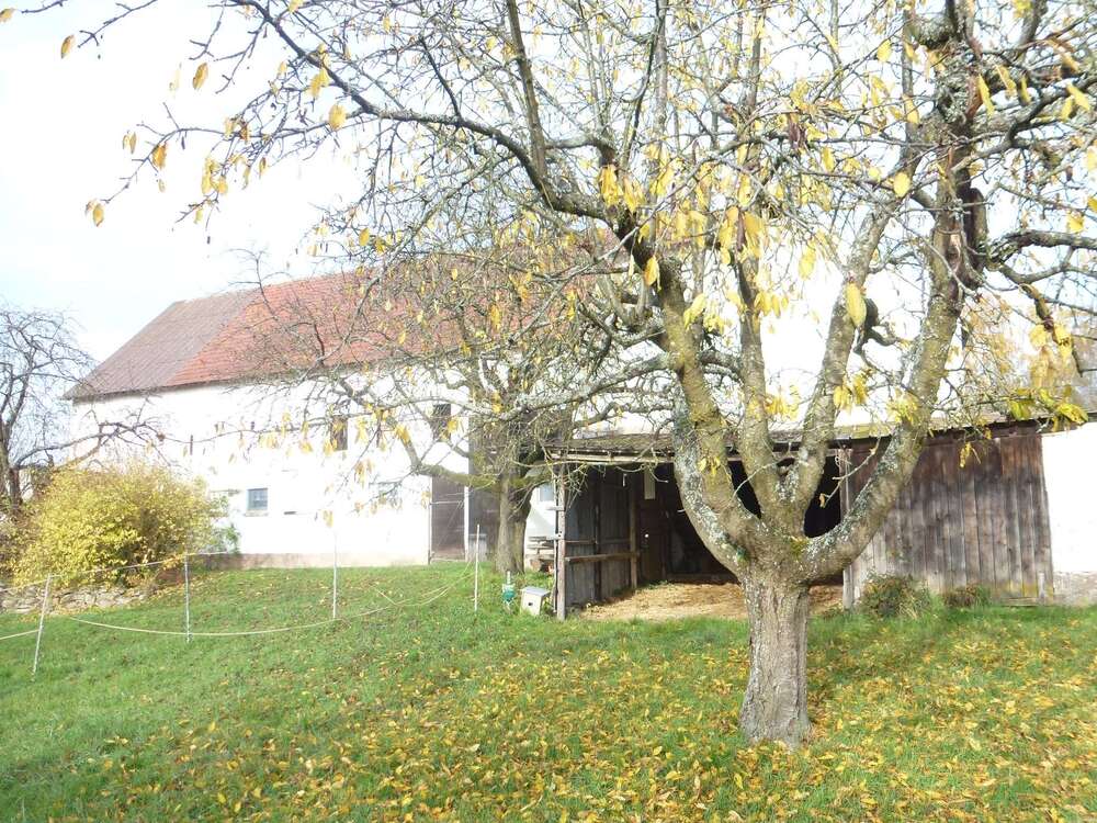 Thumbnail-Grundstück zu verkaufen in Butzbach-Maibach 498.000,00 € 2600 m²