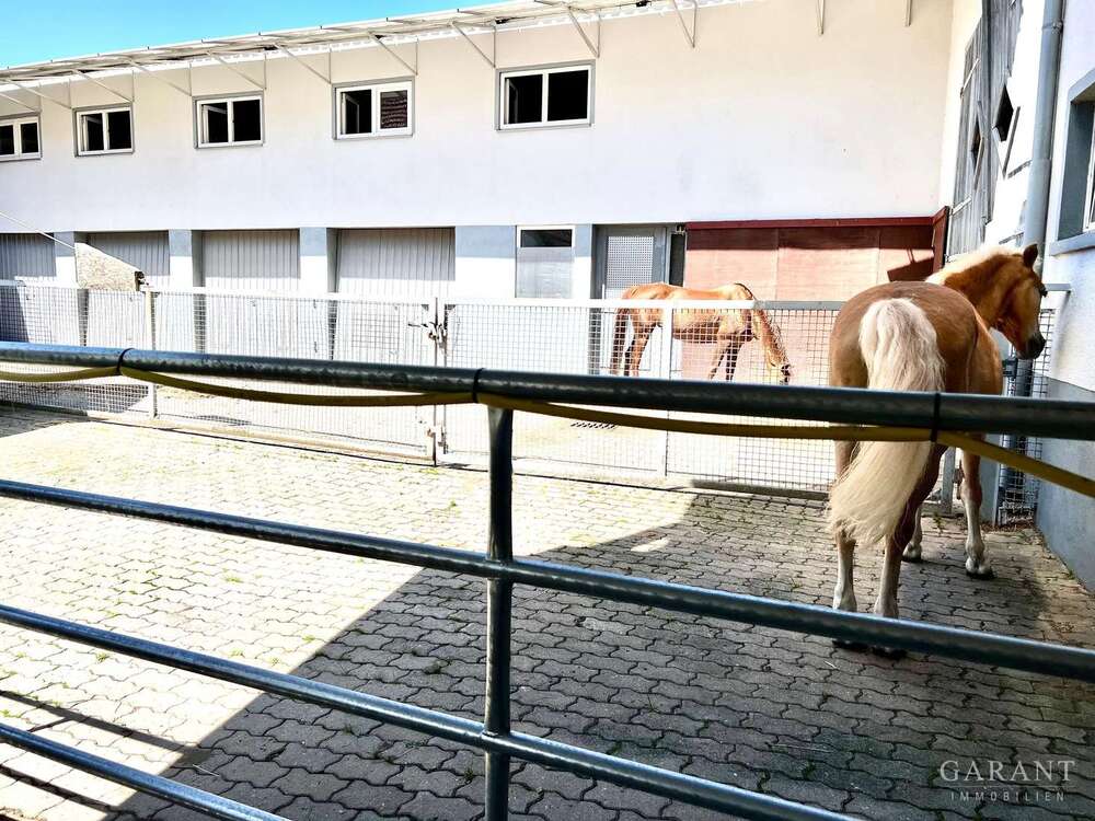 Thumbnail-Haus zum Kaufen in Adelmannsfelden 1.399.000,00 € 375 m²