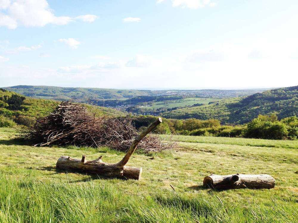 Thumbnail-Grundstück zu verkaufen in Kelkheim (Taunus) 2.800.000,00 € 4175 m²