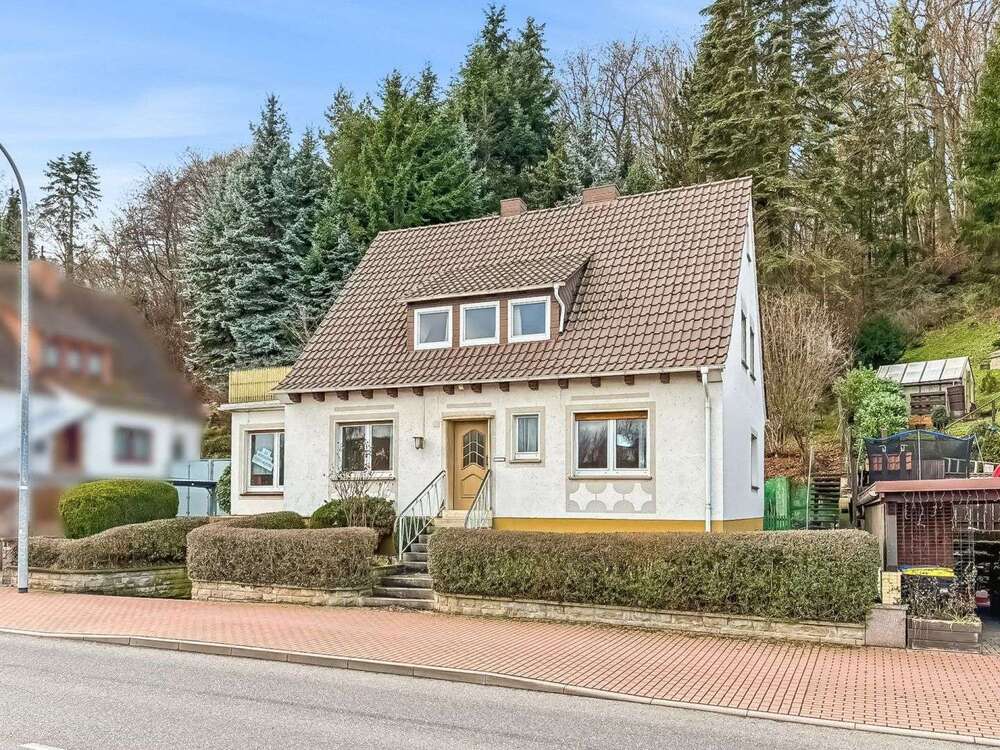 Thumbnail-Haus zum Kaufen in Heringen 99.400,00 € 147 m²