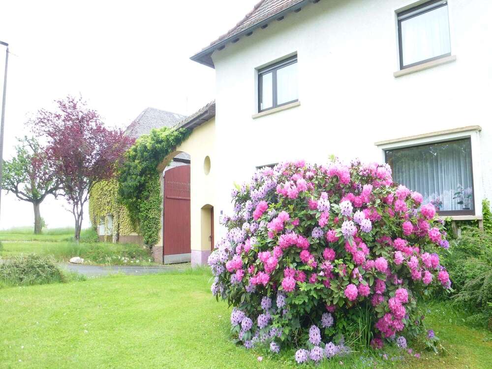 Thumbnail-Grundstück in Butzbach-Maibach 498.000,00 € 2600 m²