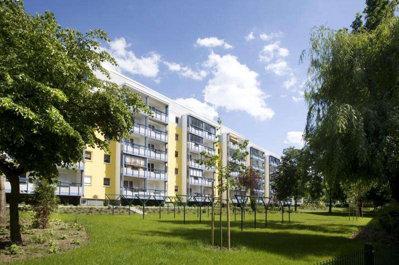 Thumbnail-Wohnung zum Mieten in Magdeburg 392,80 € 49.1 m²