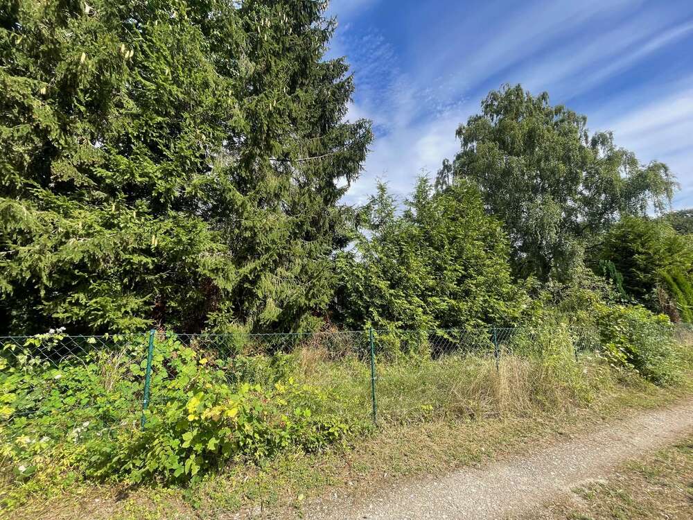 Thumbnail-Grundstück zu verkaufen in Eutin 250.000,00 € 781 m²