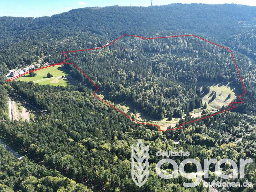 Thumbnail-Grundstück in Sasbachwalden 799.000,00 € 415639 m²
