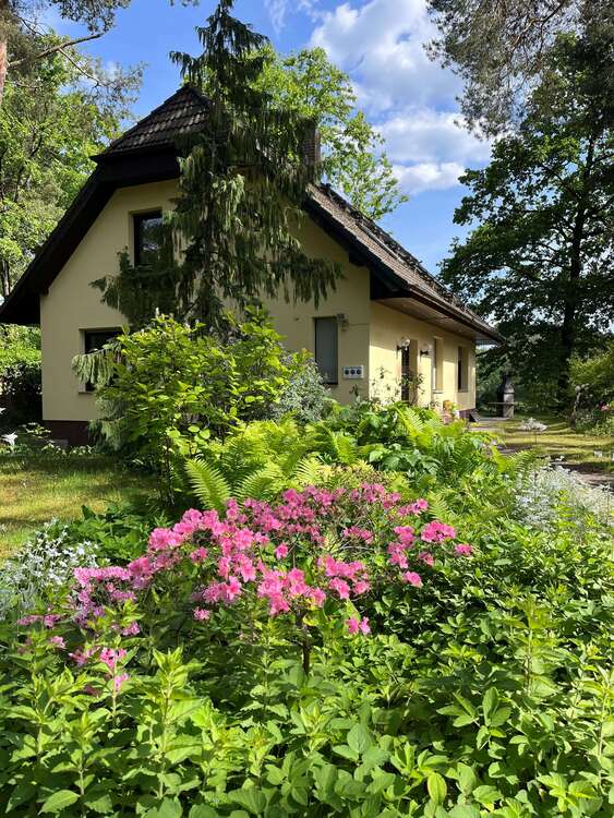 Thumbnail-Haus zum Mieten in Grünheide 2.250,00 € 200 m²