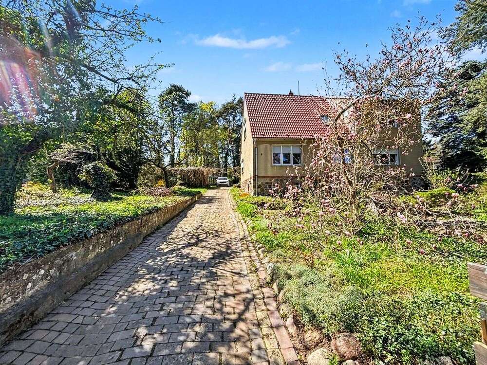 Thumbnail-Haus zum Kaufen in Lutherstadt Wittenberg 225.500,00 € 220 m²