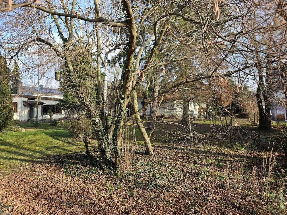 Thumbnail-Grundstück zu verkaufen in Schwetzingen 319.000,00 € 333 m²