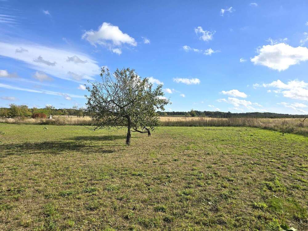 Thumbnail-Grundstück zu verkaufen in Ahrensfelde 265.000,00 € 8076 m²