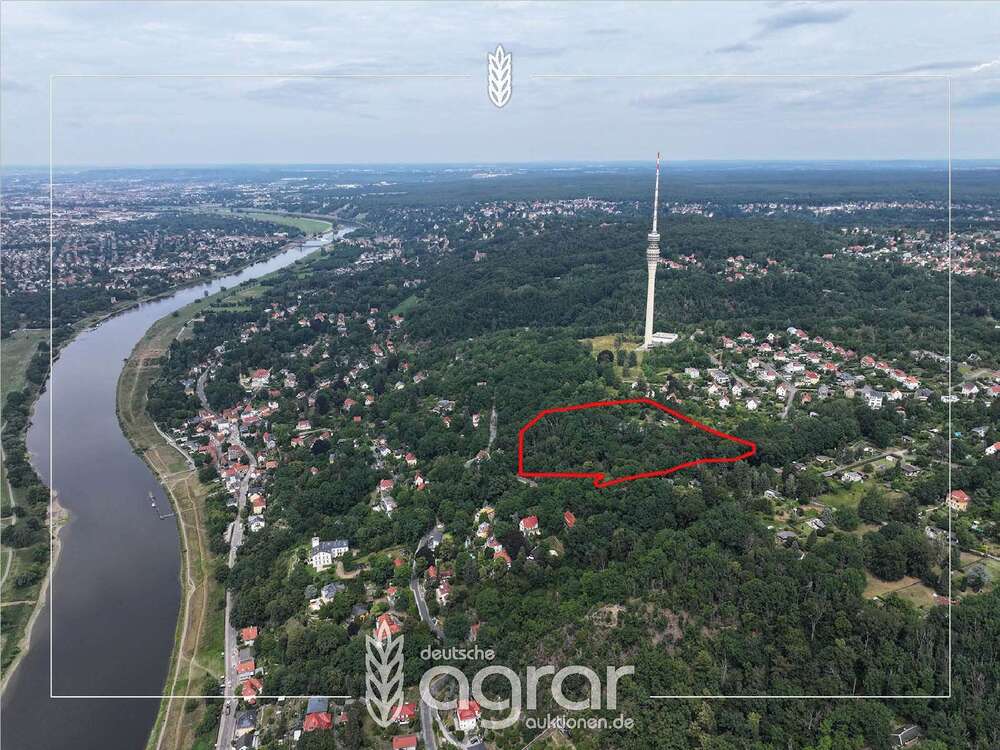 Thumbnail-Grundstück zu verkaufen in Dresden 59.900,00 € 19010 m²