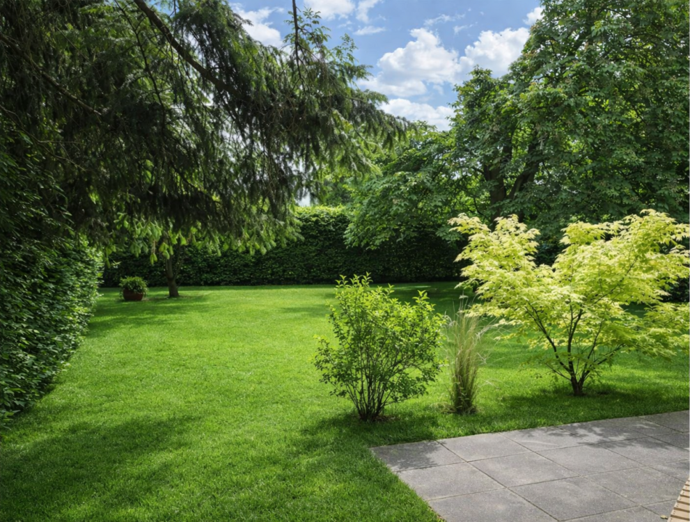 Thumbnail-Wohnung zum Kaufen in Hamburg 561.000,00 € 97 m²