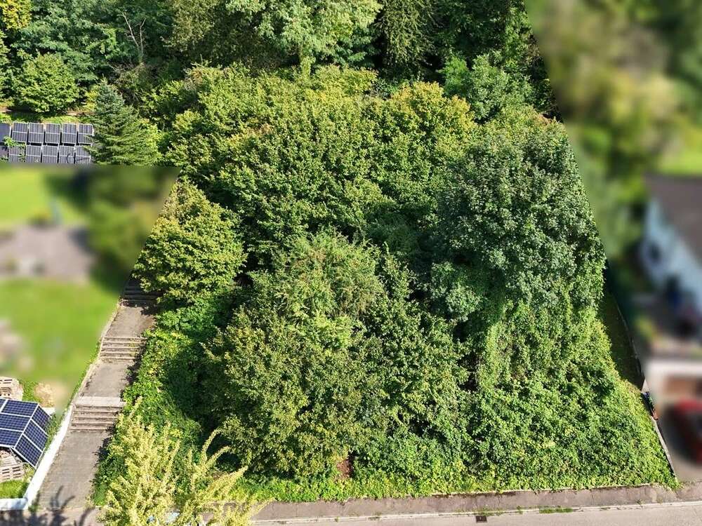 Thumbnail-Grundstück zu verkaufen in Leimen 990.000,00 € 1202 m²