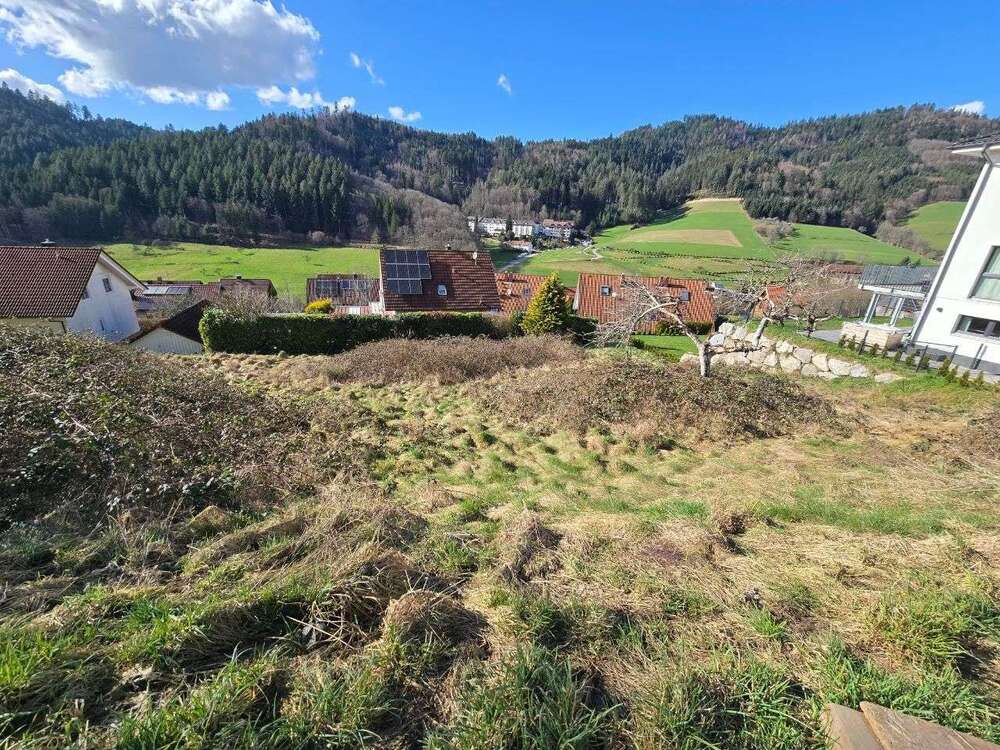 Thumbnail-Grundstück zu verkaufen in Nordrach 160.000,00 € 637 m²